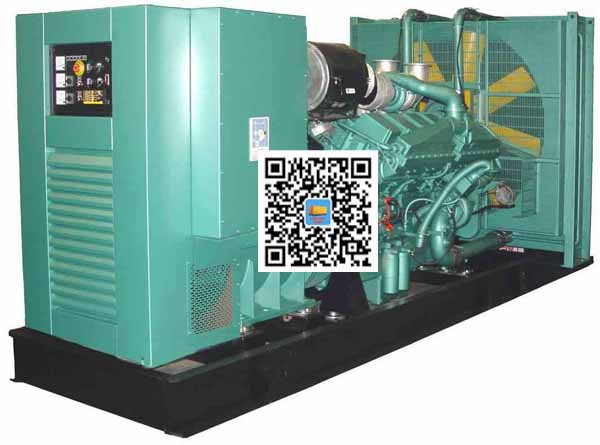 白朗笼型异步发电机的电力电子控制技术